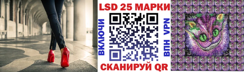 купить наркотики сайты  Магас  Марки 25I-NBOMe 1500мкг 