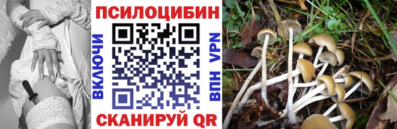 мориарти телеграм  Магас  Галлюциногенные грибы мицелий  наркота 